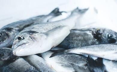 What foods can cause bad breath