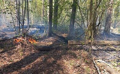Russian planes fired unguided missiles at Chernihiv region (photo)