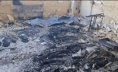 In Kharkiv, due to the shelling of Russian troops, a genetic bank of plants was destroyed