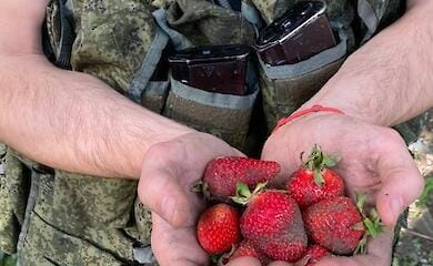 Russian soldiers-gastarbeiters appeared in Ukrainian villages