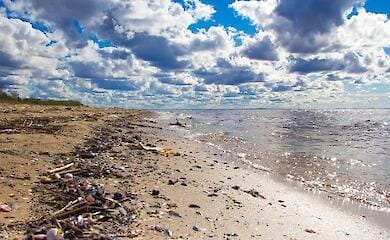 Scientists have been able to extract new bacteria for antibiotics from plastic garbage in the ocean