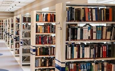 Books of objectionable authors are removed from Belarusian school libraries