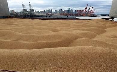 A meeting on the export of Ukrainian grain will be held in Istanbul