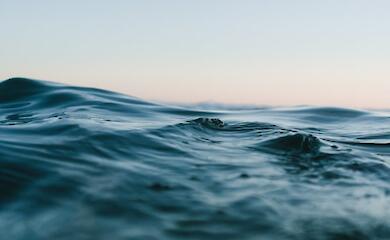 In Bulgaria, a mine floated to the shore when children were swimming there