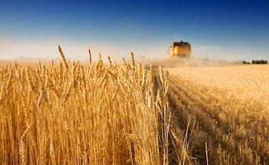 Named the leader in harvesting among the regions