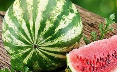 Kherson watermelon sold for UAH 2,000 in Yuzhny