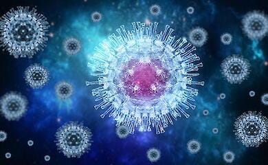 First case of monkeypox registered in Ukraine