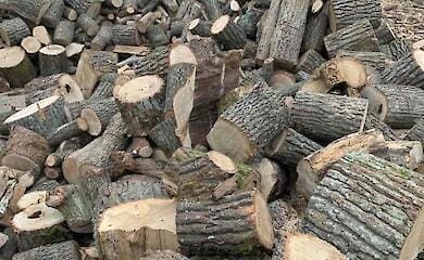 How to buy firewood in Ukraine today