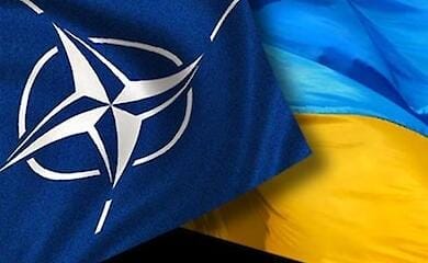 The allies called the condition for Ukraine's membership in NATO