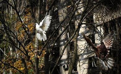 Neuer Sektor auf dem Friedhof bei Mariupol