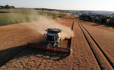 Ukraine could lose hundreds of millions of dollars from ban on agricultural exports