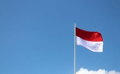 Indonesia offers its plan for a peaceful resolution of the military conflict in Ukraine