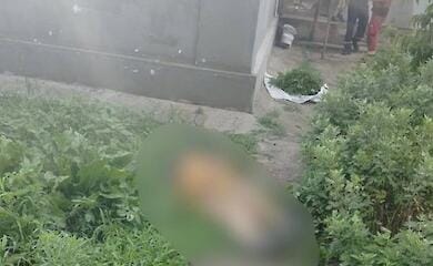 Frau bei morgendlichem Raketenangriff auf Dorf in der Region Kherson get&ouml;tet