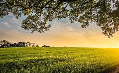 Die Regionen der Ukraine mit den teuersten Hektaren hei&szlig;en