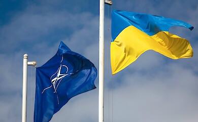 Sollte die Ukraine auf dem Gipfel von Vilnius eine Einladung an die NATO abwarten?
