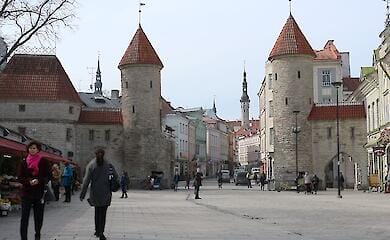 Number of supporters of supporting Ukrainians in Estonia has plummeted - mass media