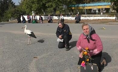 Ein Storch flog zur Beerdigung eines Soldaten in der Region Vinnitsa