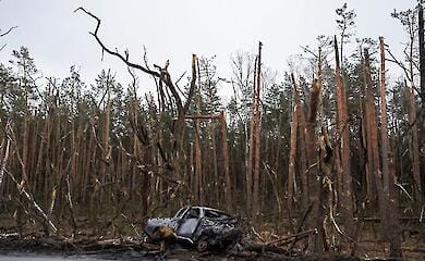 Russen zerstörten mindestens ein Drittel des Waldbestandes in der Region Luhansk - OBA