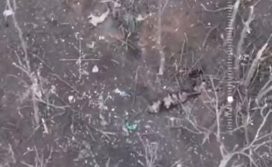 Prosecutor's office investigates killing of Ukrainian military who were captured