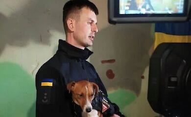 Patron the dog visited Zaporozhye