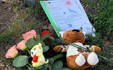 Die Russische F&ouml;deration hat seit 2014 mehr als 800 Kinder in der Ukraine get&ouml;tet
