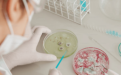 Scientists have identified the main source of the coronavirus's spread