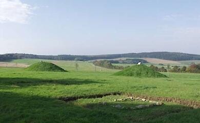 Das kelto-r&ouml;mische Gr&auml;berfeld von Vederath-Belginum