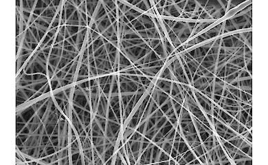 Das Team verwendete ein Rasterelektronenmikroskop, das die Matte mit einem fokussierten Elektronenstrahl abtastete und ein Bild auf der Grundlage des Musters der reflektierten oder herausgeschlagenen Elektronen erstellte. Jedes einzelne Filament ist zu d&uuml;nn, um mit einer Kamera oder einem Mikroskop f&uuml;r sichtbares Licht klar erfasst zu werden