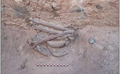 &Auml;gyptische Goldminen aus der Ptolem&auml;erzeit nutzten Sklavenarbeit - Arch&auml;ologen