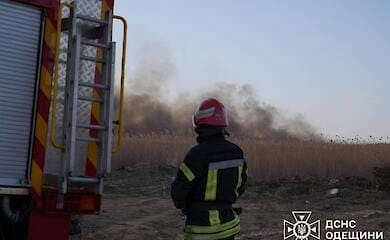 Large-scale fire in Odessa region: the wind caused the fire to spread to the national park