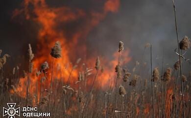 Large-scale fire in Odessa region: the wind caused the fire to spread to the national park