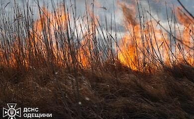 Large-scale fire in Odessa region: the wind caused the fire to spread to the national park