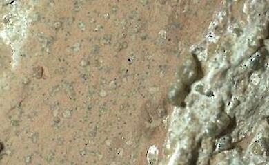 Leben auf dem Mars könnte schon vor 4 Milliarden Jahren existiert haben