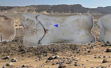 Eine einzigartige Knochenpfeife aus der Zeit von Pharao Ehnaton wurde in &Auml;gypten entdeckt