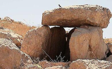 Ein 5.000 Jahre alter "Ort der Macht" wurde in Jordanien ausgegraben