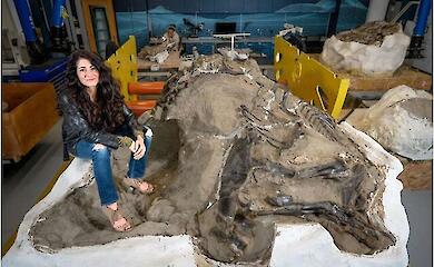 Wissenschaftler haben Beweise f&uuml;r einen neuen Raubdinosaurier gefunden