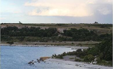 Stone Age "pet" wolves found on an island in the Baltic Sea