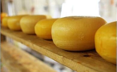 Fetter K&auml;se: ein unerwartetes "Plus" f&uuml;r das Gehirn?