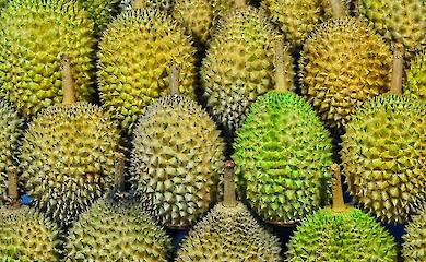 Durian statt &Ouml;l: Chinas unerwartetes Druckmittel in Asien