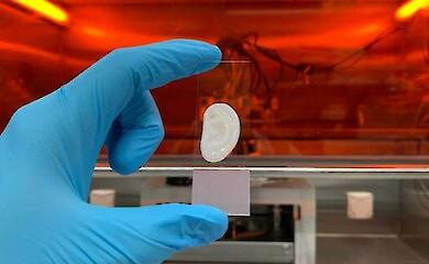 Wissenschaftler haben Ohrknorpel aus menschlichen Zellen gedruckt
