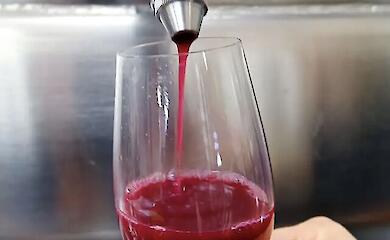Ein Glas Pinot Noir