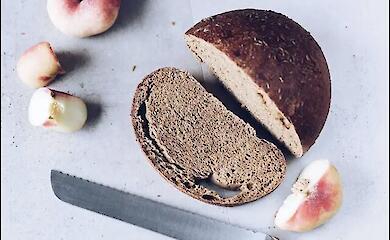 Vollkornbrot kann den Darm schützen - Studie