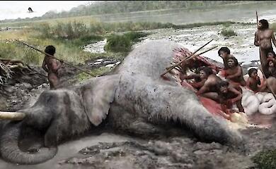 Neandertaler ernteten bis zu 3,5 Tonnen Fleisch bei einer einzigen Jagd