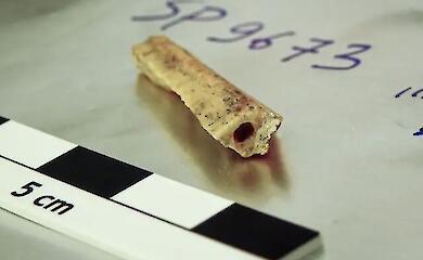 Neandertaler waren isoliert und oft eng miteinander verwandt