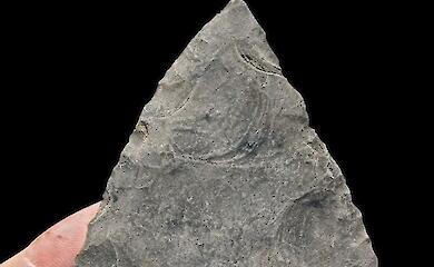Ein 100.000 Jahre altes Werkzeug aus Obsidian