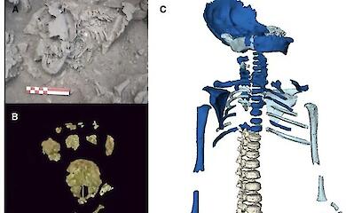 Wissenschaftler haben entdeckt, dass Neandertaler-Kinder schnell erwachsen wurden