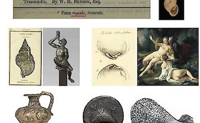 Why molluscs have such strange names - scientists explained