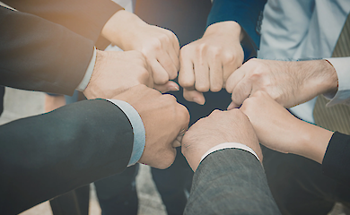 Forscher haben herausgefunden, warum die Zusammenarbeit in Gruppen allm&auml;hlich schw&auml;cher wird