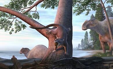 An ancient hamster-sized animal lived alongside the dinosaurs