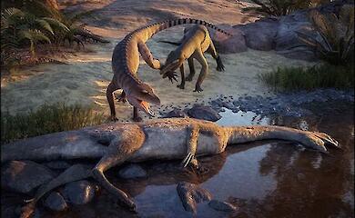 Museum entdeckt neues Raubtier, das vor 210 Millionen Jahren lebte